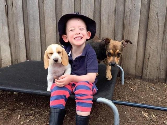 Mettono annuncio su Facebook per scambiare il cucciolo per un Iphone