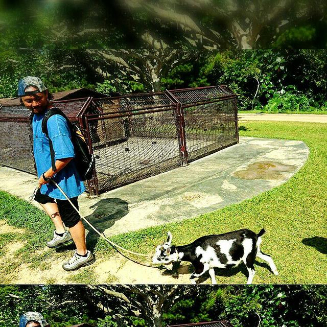 ｺﾔﾏ ｷｮｳﾍｲ