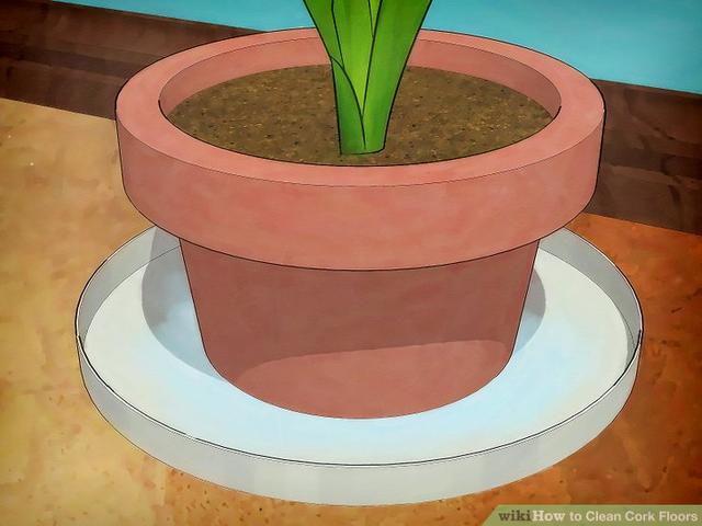 Wikihow To Clean Cork Floors 国际 蛋蛋赞