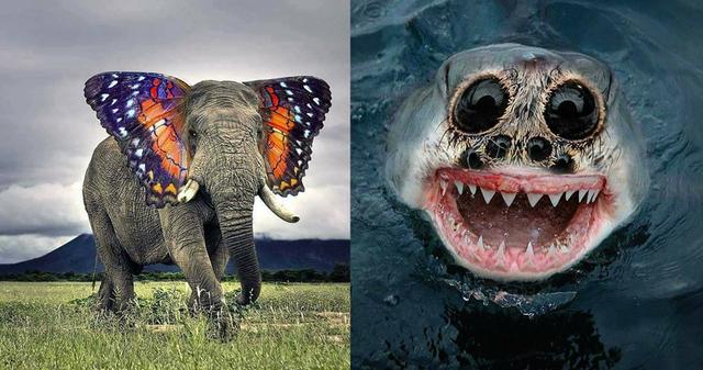 20 Hybrid Animals Created In Photoshop Will Give Wings To Your  