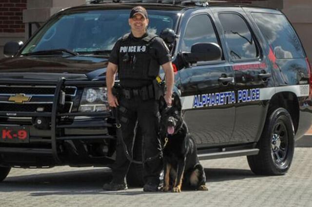 These Police Dogs Are Braver Than Most People 国际 蛋蛋赞