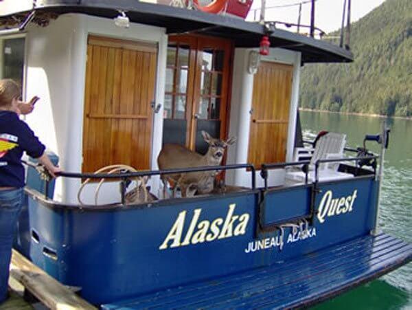 Family Were Boating In Alaska When They Spotted Something. When They Came Closer? OMG.