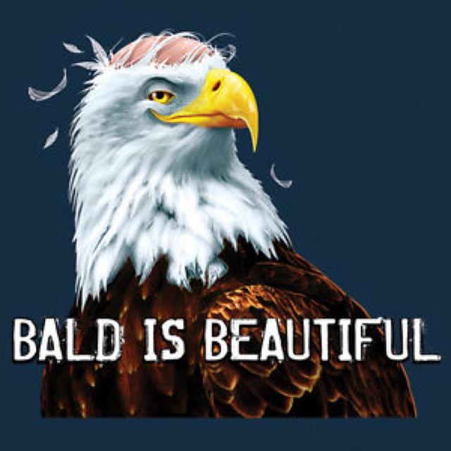 Funniest Bald Eagle Meme Compilation..America!_国际_蛋蛋赞