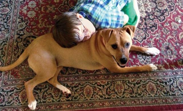 Mom Who Brings Home This Rescue Pit Bull Is Stunned At What It Does To Her Son