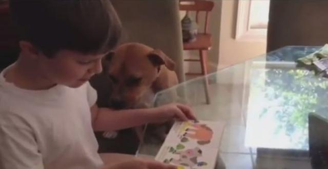 Mom Who Brings Home This Rescue Pit Bull Is Stunned At What It Does To Her Son