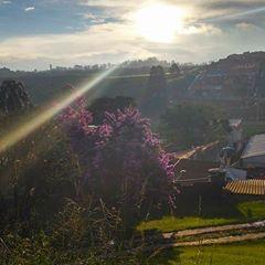 Rafael De Oliveira Araujo