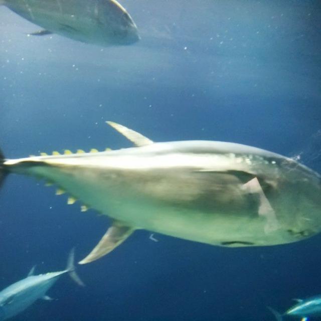 毎日更新【フォローしてね】