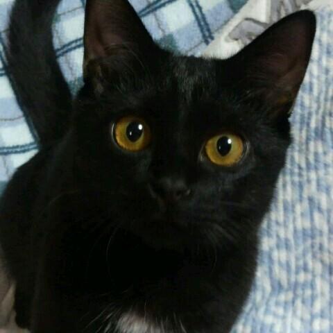 🌸さくら高橋🌸