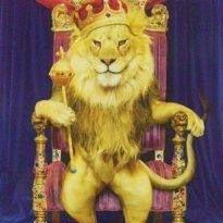 ありがとう感謝します358❗