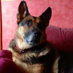 Teresa Beardsmore Mcardle