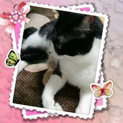 りりんこ おくの