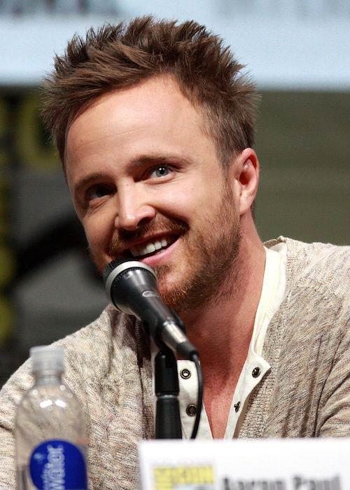 Aaron Paul Height Weight Age Body Statistics 国际 蛋蛋赞