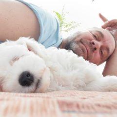 Dragan Lazarevic Strela