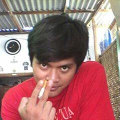 The collection of funny 