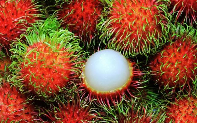 10 Of The Strangest Fruits You Ll Ever See 国际 蛋蛋赞