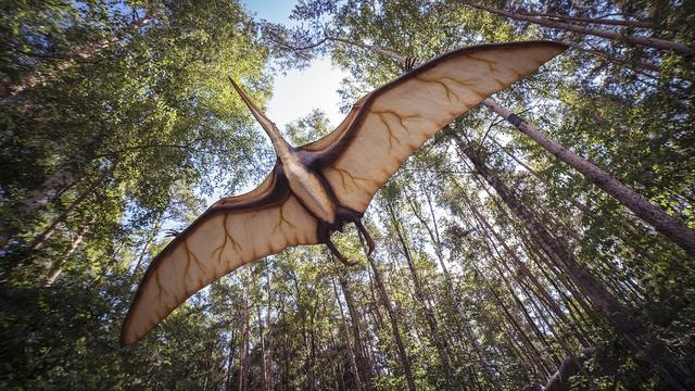 dracula pterosaur
