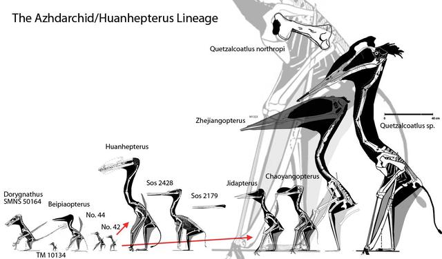 dracula pterosaur
