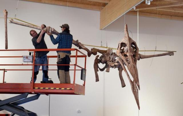 dracula pterosaur