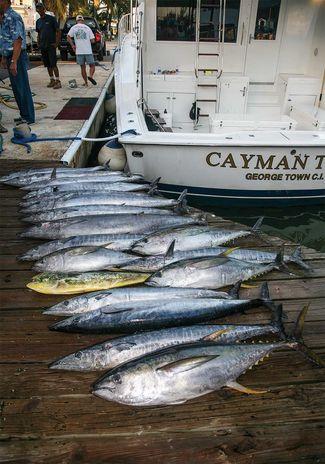 Adventure Fishing Trips That Make Lifelong Memories 国际 蛋蛋赞