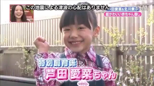 志村動物園 芦田愛菜と北川景子が可愛い赤ちゃんを探す １