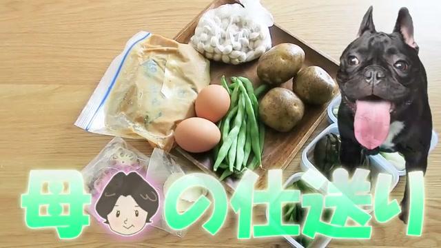 実家の仕送り 犬用おやつ さつま芋とれんこんのチップス