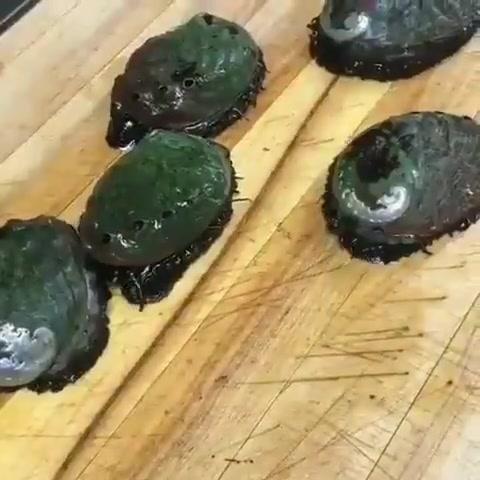 すべての花の画像 トップ100アワビ 似ているもの