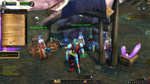 Einstieg in World of Warcraft: der Leitfaden für Anfänger und ...