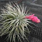 By Grace Through Faith