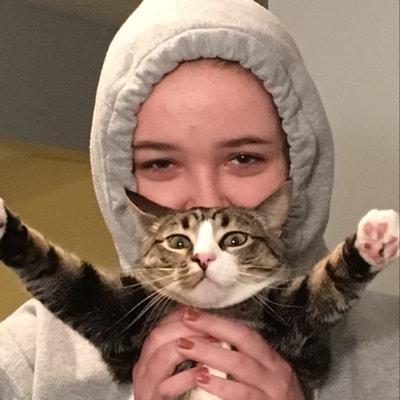 green_bean_meme_machine