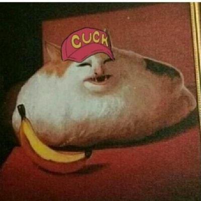 the_obese_cat
