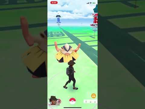 ポケモンgo 野生のハリテヤマをgetした様子