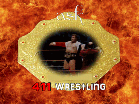 411 wrestling