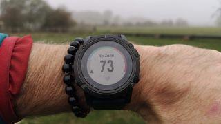 garmin fenix 5x plus price