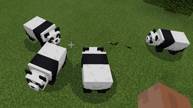 Minecraft 1 8 Patch Notes Adds Cats And Pandas 国际 蛋蛋赞