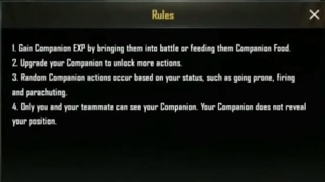 Pubg Mobile Companion How To Unlock The Companion Queenews - pubg mobile companion how to unlock the companion gaming