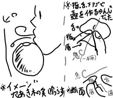笛 やり方 指