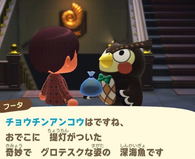 ホウエンセレブレーション は戦力を大幅にアップさせる絶好のチャンス 忙しい社会人に向けた注目ポイントまとめ ポケモンgo 秋田局 Beezまとめ