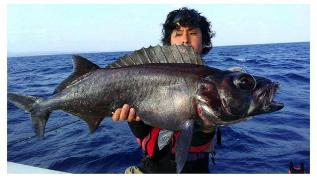 ホウエンセレブレーション は戦力を大幅にアップさせる絶好のチャンス 忙しい社会人に向けた注目ポイントまとめ ポケモンgo 秋田局 Beezまとめ