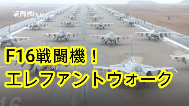 圧巻のエレファントウォーク F16 戦闘機