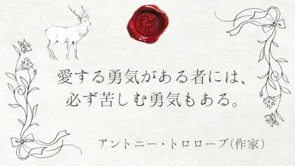 泣ける失恋名言集 失恋したあなたのための言葉です