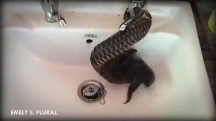 ワンピース フランキーがトムさんの弟と話しているシーン