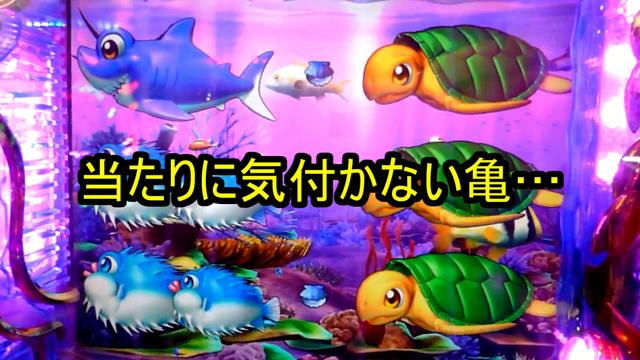 やっと出会えました あっぱれ 魚群大祭り 海物語