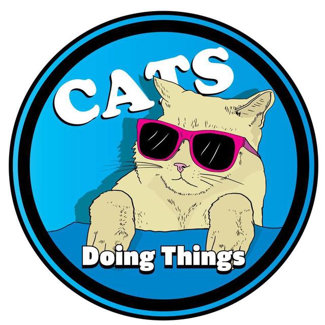 Cats Doing Things