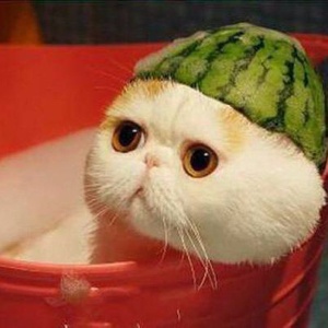 今あなたに届けたい