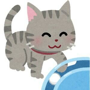 癒しの猫ちゃん動画まとめ