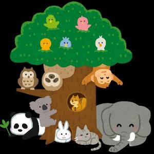 アニマルチャンネル