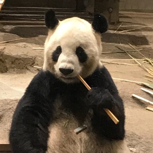 暇なら潰そう！