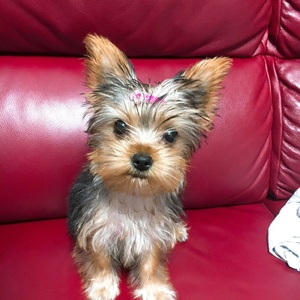 matiru★のお部屋