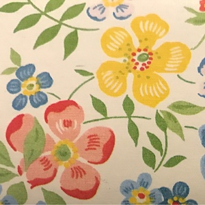 世界を観てシリーズ