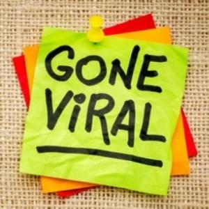 pop culture viral videos